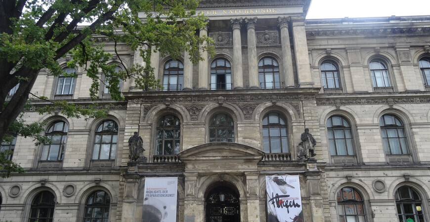 Музей естествознания в Берлине