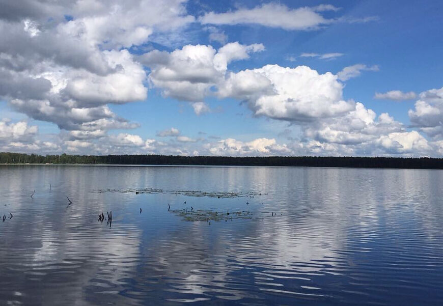 Озеро Щучье в Тавдинском районе