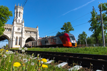 Поезда «Ласточка» возвращаются на маршруты с 1 июля