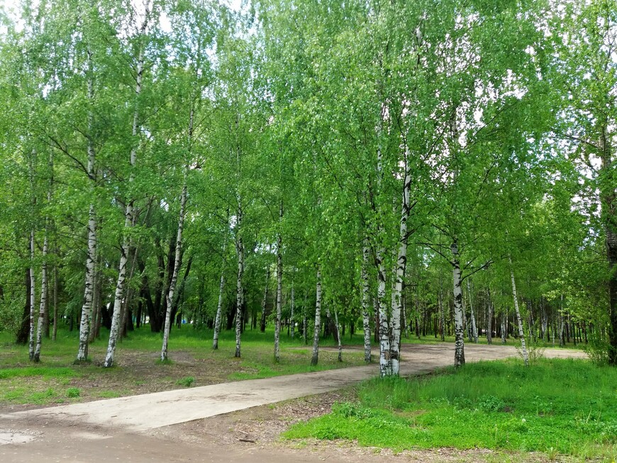 Картинки — «карантинки»,  или прогулка длиною в обеденный перерыв (Ярославль, май–июнь 2020)