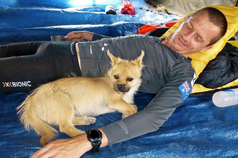 Бездомная собака полюбила спортсмена с первого взгляда и преодолела с ним марафон через пустыню (трогательная история дружбы)