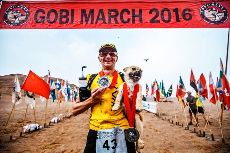 Бездомная собака полюбила спортсмена с первого взгляда и преодолела с ним марафон через пустыню (трогательная история дружбы)