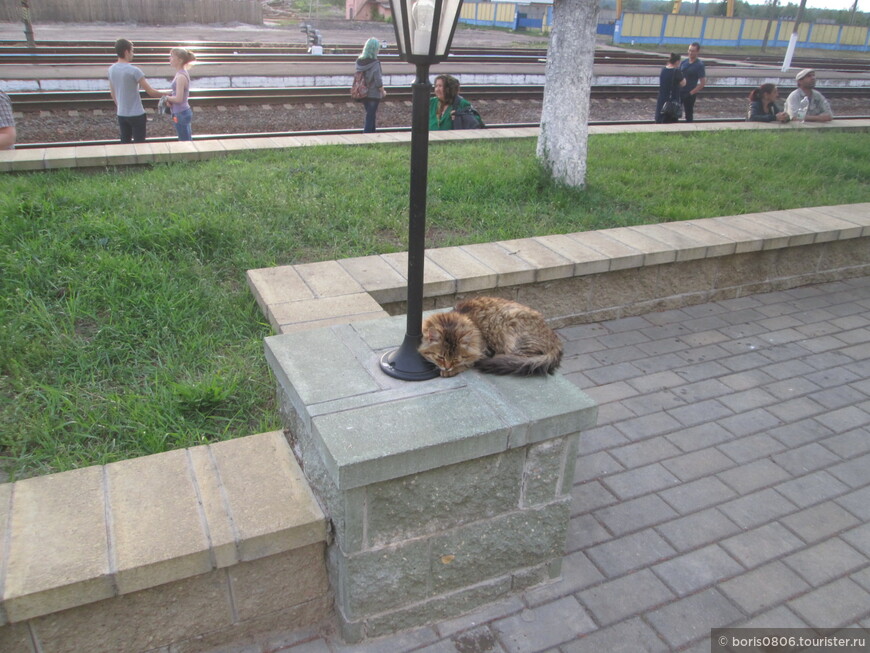 Короткий визит в город Ельск