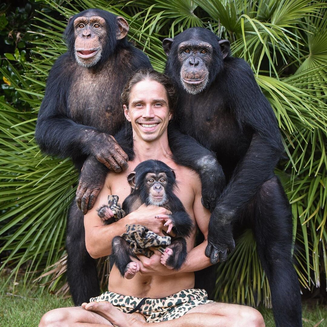 Покажи человека обезьяну. Тарзан Повелитель обезьян. Тарзан тигр. Тарзан и шимпанзе. Тарзан горилла.