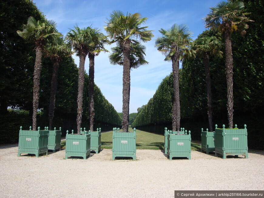 Королевский парк и сады Версаля