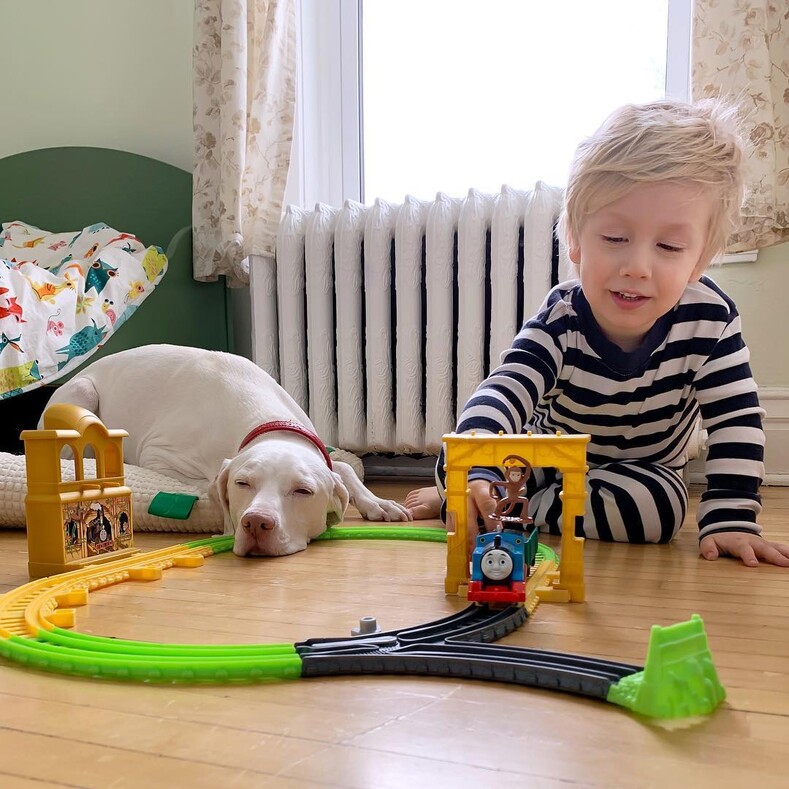 Дружба маленького мальчика и собаки, которая перестала доверять людям: после просмотра этих фото хочется завести четвероногого друга