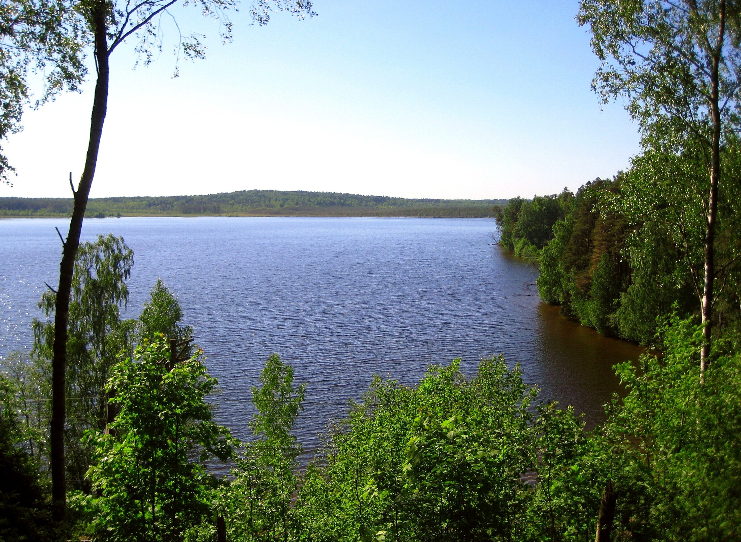 Озеро мелководное в Ленинградской области - информация для рыбаков