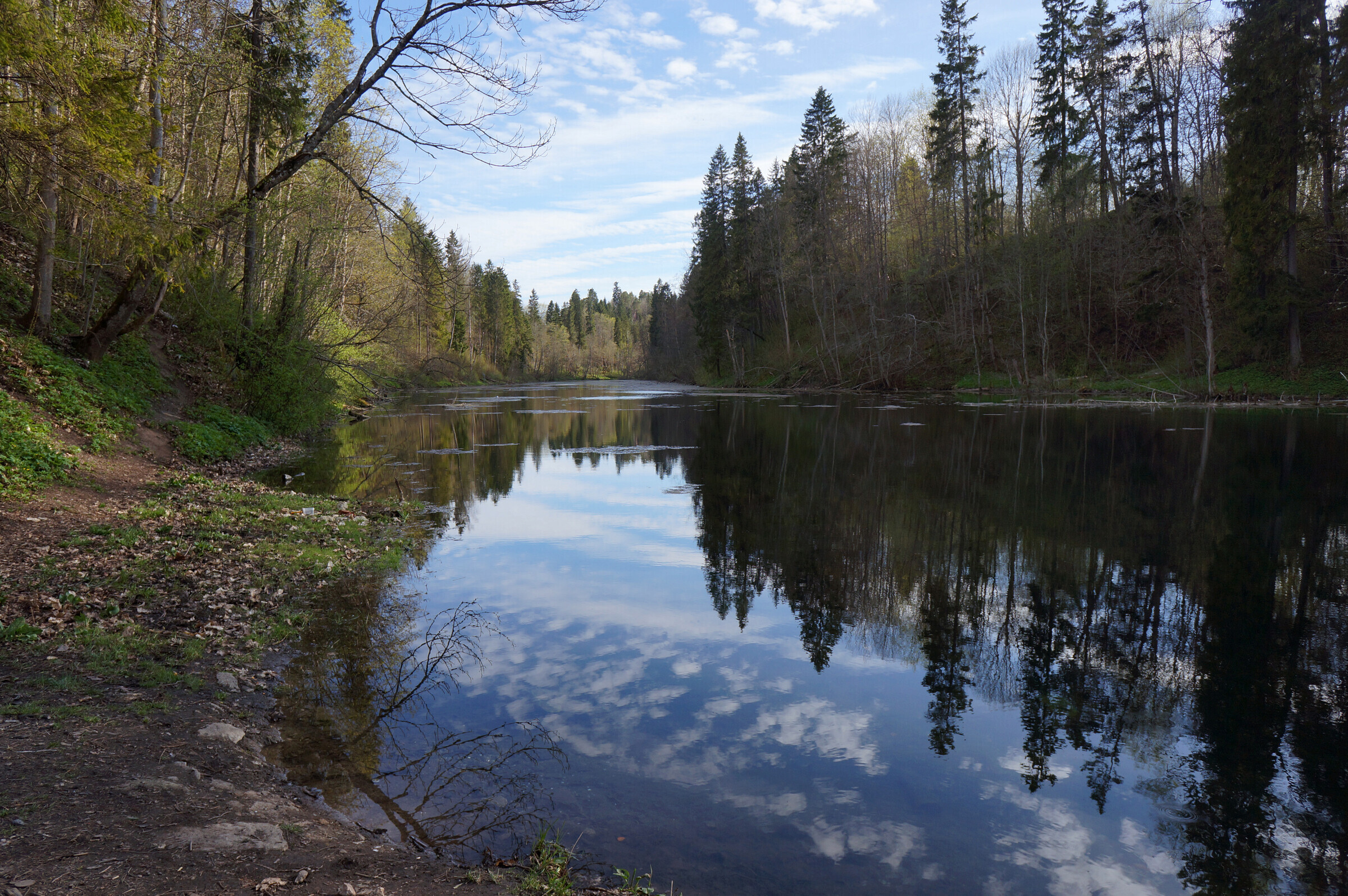 Озеро Бородинское: лучшие места для рыбалки в Ленинградской области