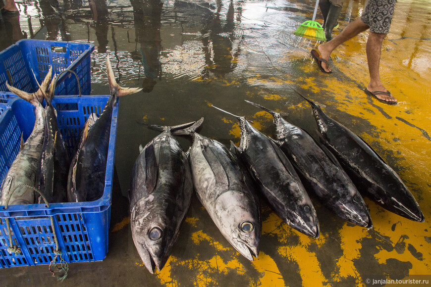 Рыбный рынок в Пачитане 