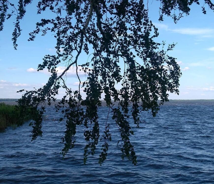 Озеро Ирбитское 