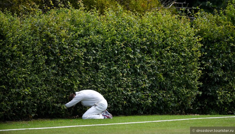 Чисто английский спорт. Британцам впервые после карантина разрешили играть в крикет (фото)