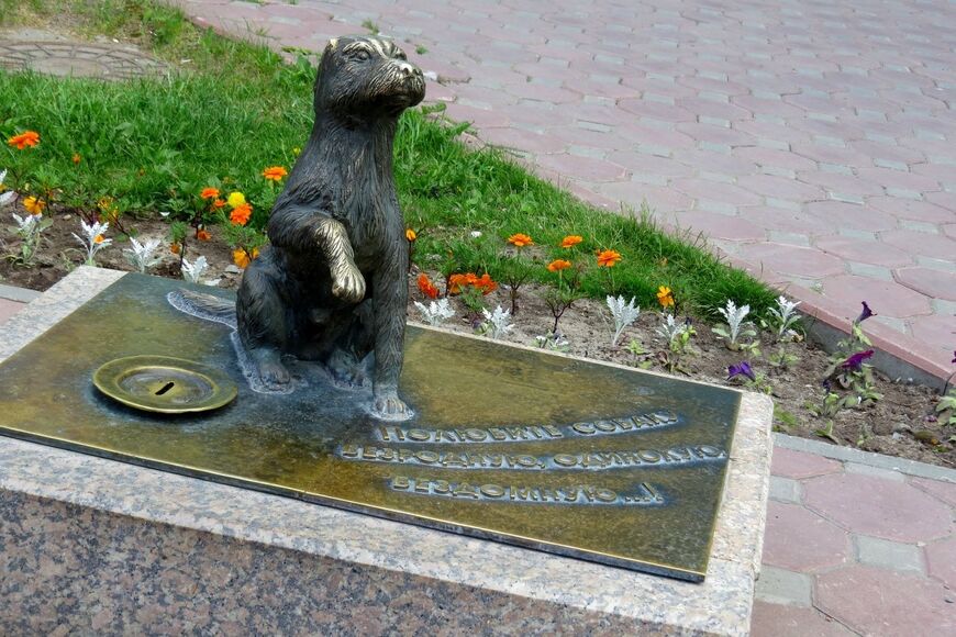 Памятник бездомной собаке в Тюмени