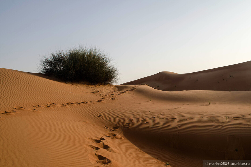 Непляжные Эмираты. Джип-сафари по пустыне Руб-эль-Хали