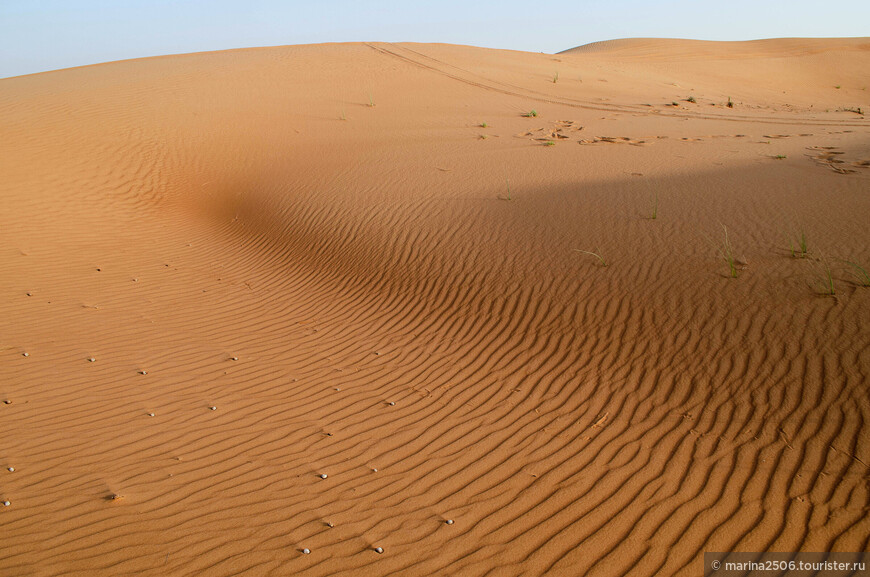 Непляжные Эмираты. Джип-сафари по пустыне Руб-эль-Хали