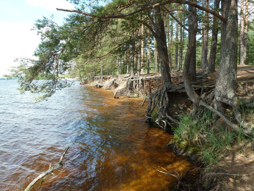 Берег Вселуга