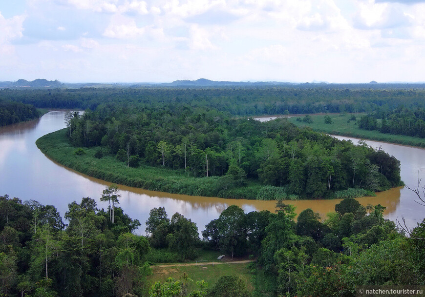 Сокровища Борнео: национальный парк Кинабалу, река Кинабатанган и пещера Гомантонг