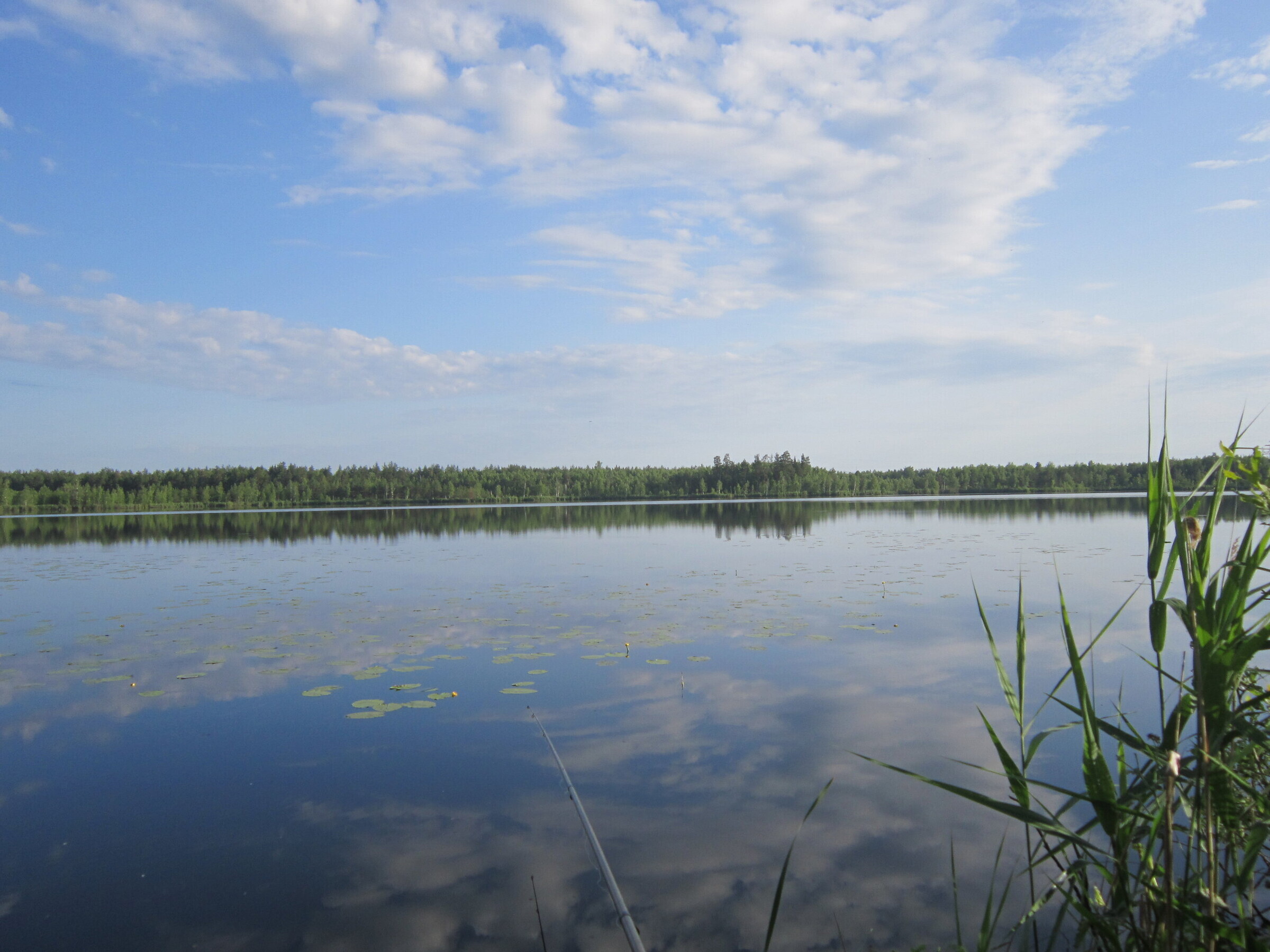 Озеро нижнее отзывы. Озеро Боровское озеро. Озеро Боровское Балахна. Боровское озеро Нижегородской области. Комлево озеро Боровск.