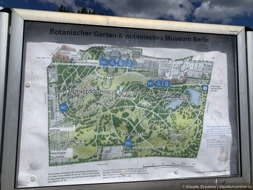 Ботанический сад Берлина..