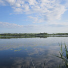Боровское озеро