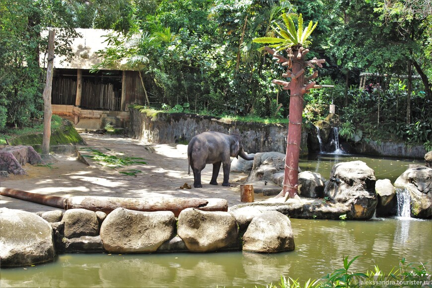 Один из лучших зоопарков в мире