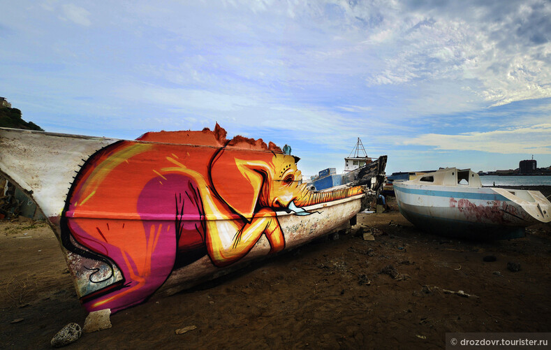 Граффитист из ЮАР создаёт из объектов городского пространства произведения искусства (фото)