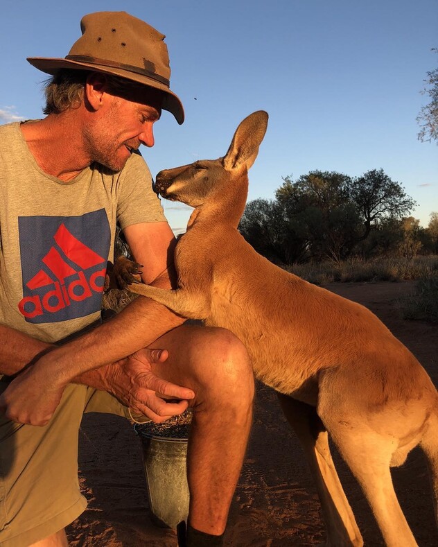 Один добрый поступок навсегда изменил его жизнь: мужчина спас малыша кенгуру и стал телеведущим