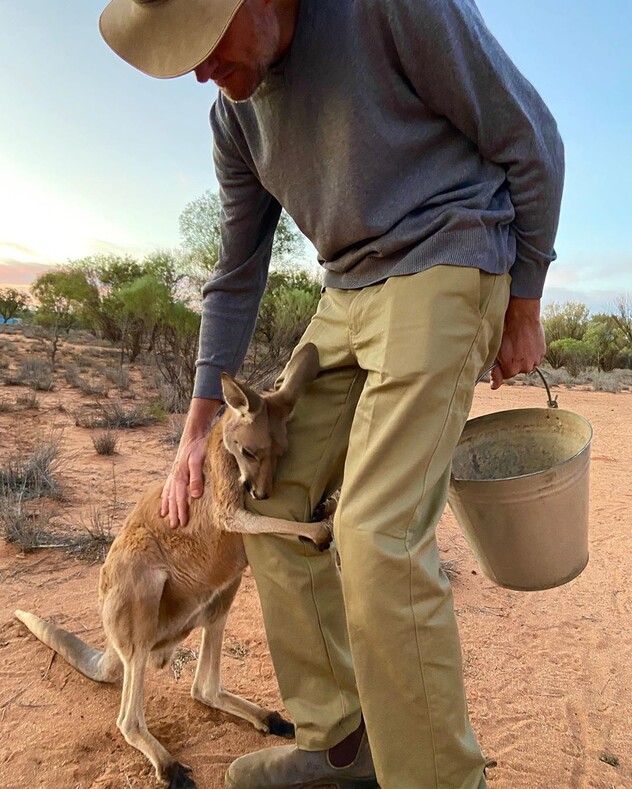 Один добрый поступок навсегда изменил его жизнь: мужчина спас малыша кенгуру и стал телеведущим