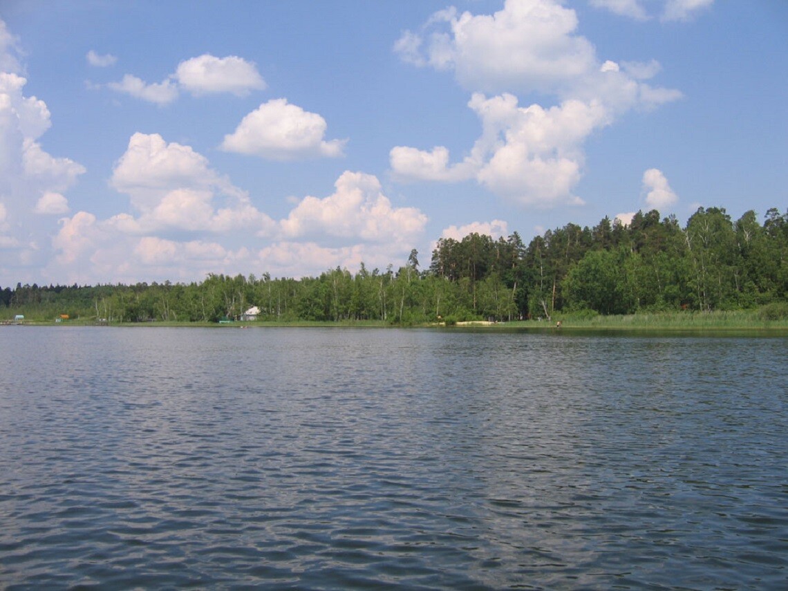 Озеро на берегу которого расположены. Белое озеро Ульяновская область. Белое озеро Николаевский район. Белое озеро Ульяновск. Белолебяжье озеро Ульяновская область.