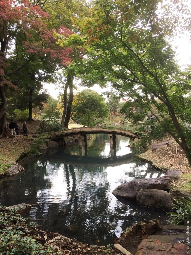 2-ой день в Японии. Деревня Омия, музей бонсай, сад Рикугиэн и Токийская телебашня