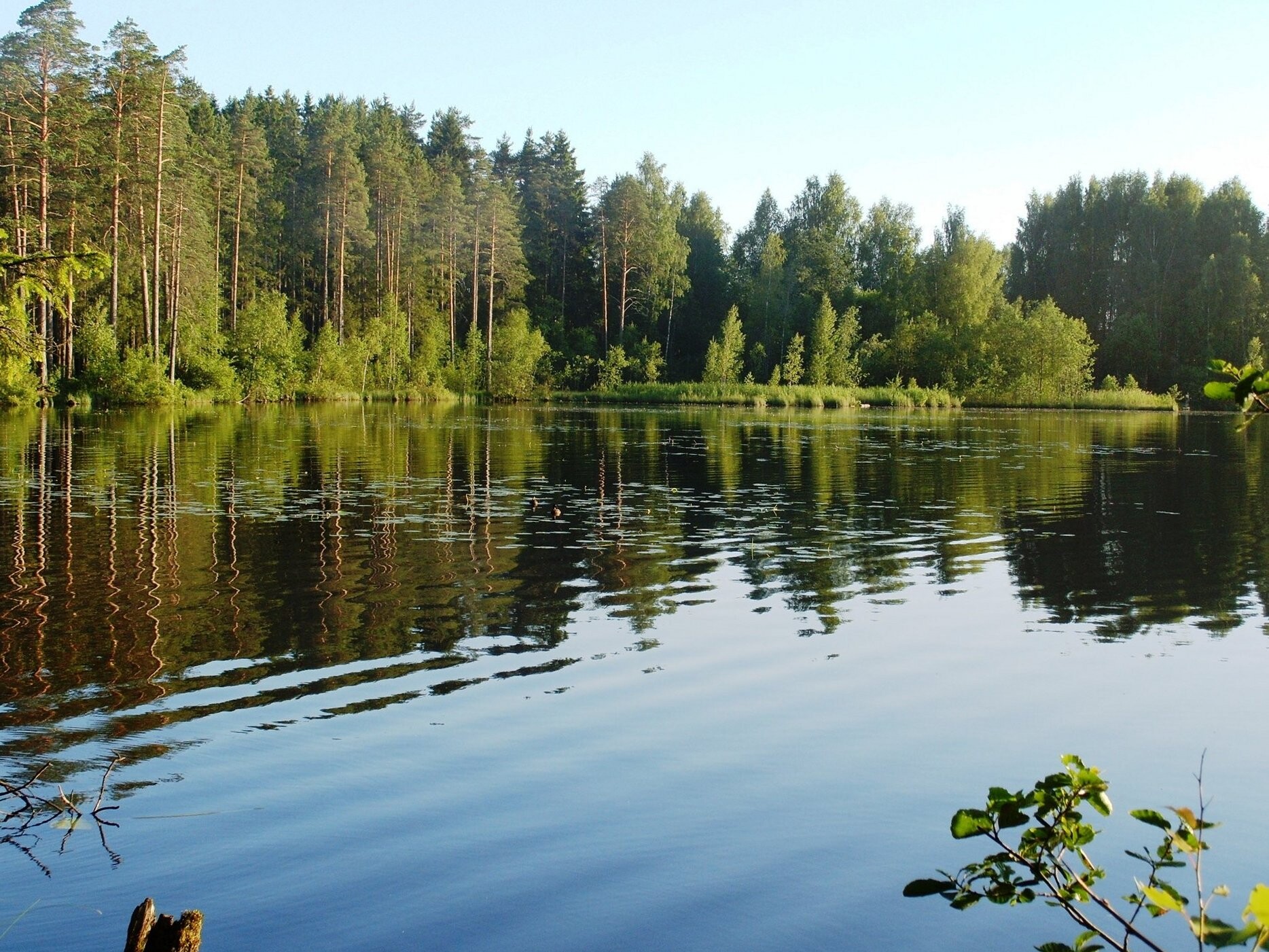 Озеро Чертово: лучшее место для рыбалки в Ленинградской области