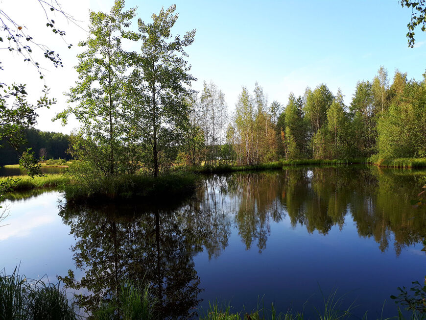 Медное озеро в Ленинградской области