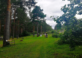 В ботаническом саду Петрозаводского Гос. Университета у урочища «Чёртов стул»…