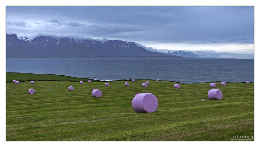 Кемпер-путешествие по Исландии, и кусочек Гренландии (4)