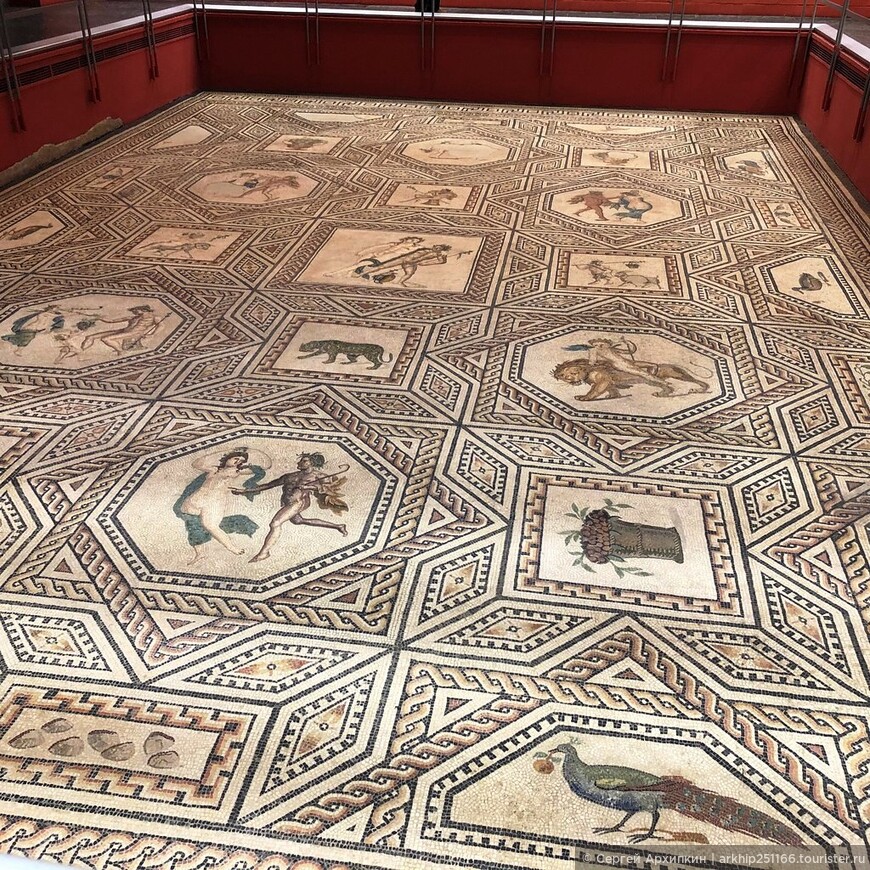 Римско-германский музей в Кельне