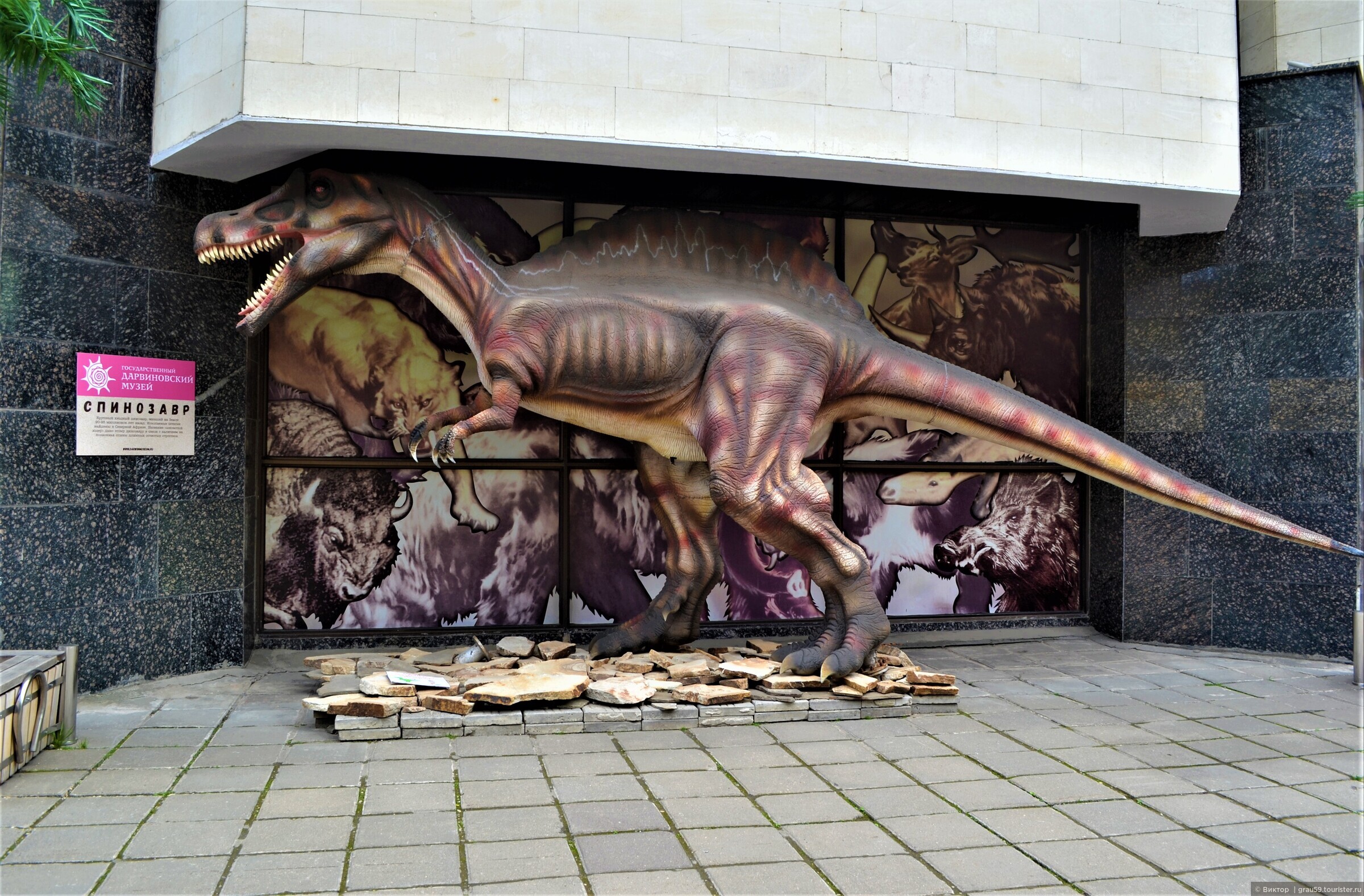 Дарвиновский музей динозавры