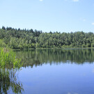 Круглое озеро в Брянске