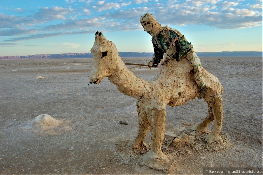 Верблюжий антураж Туниса 
