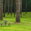 немецкое военное кладбище