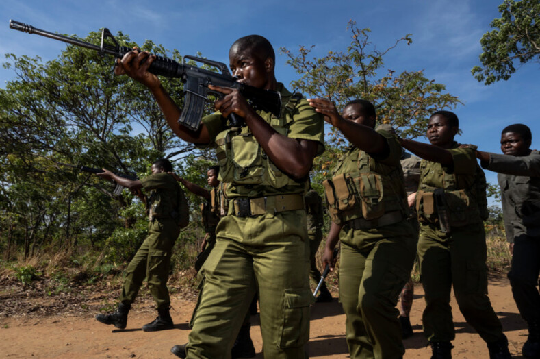 Акашинга: женщины взяли в руки оружие, чтобы защитить редких животных Африки