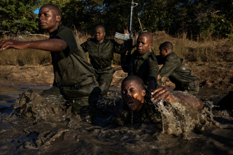 Акашинга: женщины взяли в руки оружие, чтобы защитить редких животных Африки