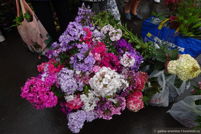Цветочный фестиваль «Цветы Fest» на ВДНХ 26–30.08.2020