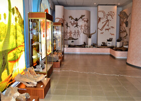 Музей природы и экологии