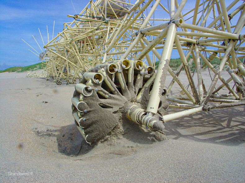 «Пляжные звери»: нидерландский художник оживляет скелеты из трубок с помощью ветра
