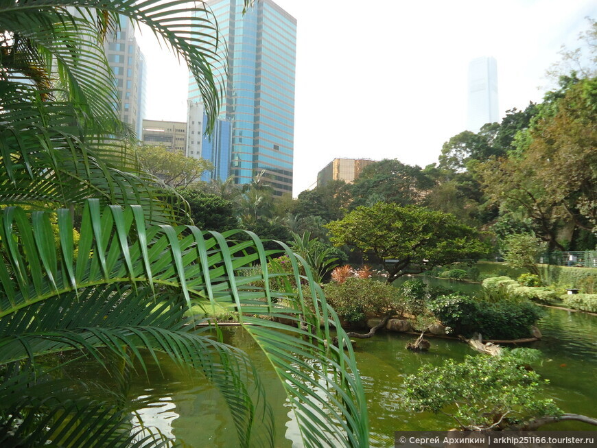 Коулун-парк с фламинго — в самом центре Гонконга