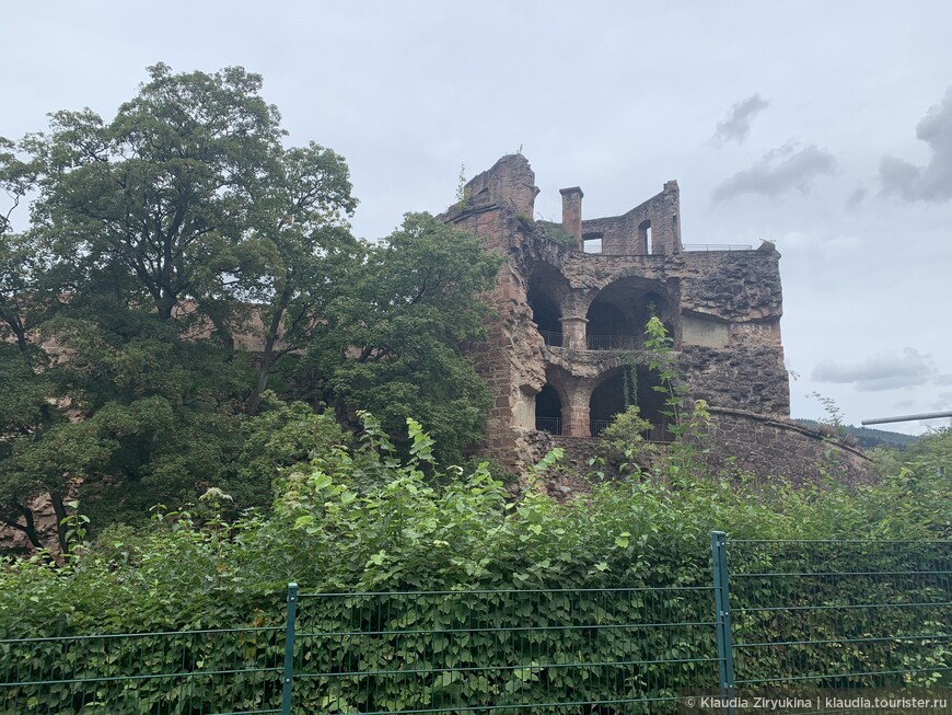 Романтика знаменитых руин, и самая большая в мире бочка