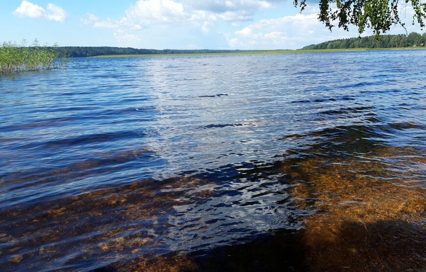 Пионерское озеро (Куолемаярви)