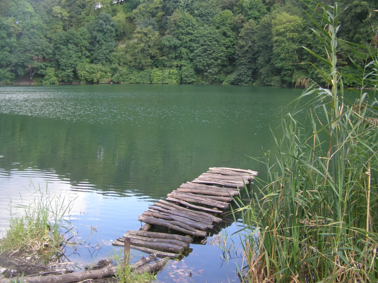 Озеро Копанка в Краснодаре: красивое место для рыбалки и отдыха