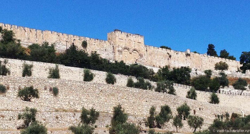 Иерусалим. Масличная гора. Праведники и грешники