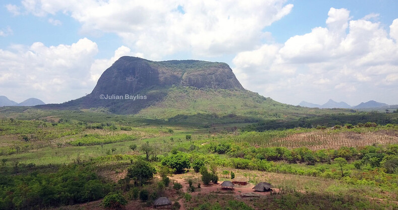 Ученый открыл девственный лес на вершине горы в Мозамбике с помощью Google Earth