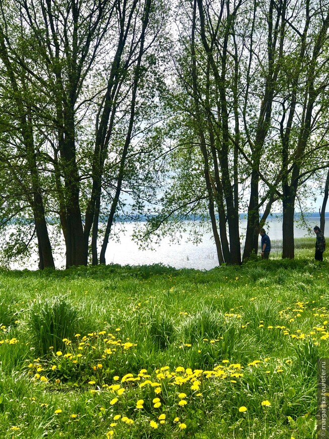 Плещеево озеро, Синь-камень, Лыса гора